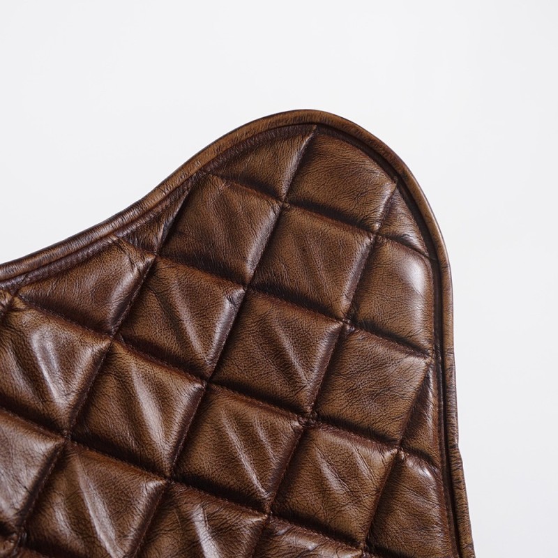 Leren vlinderstoel - Lepidoptera