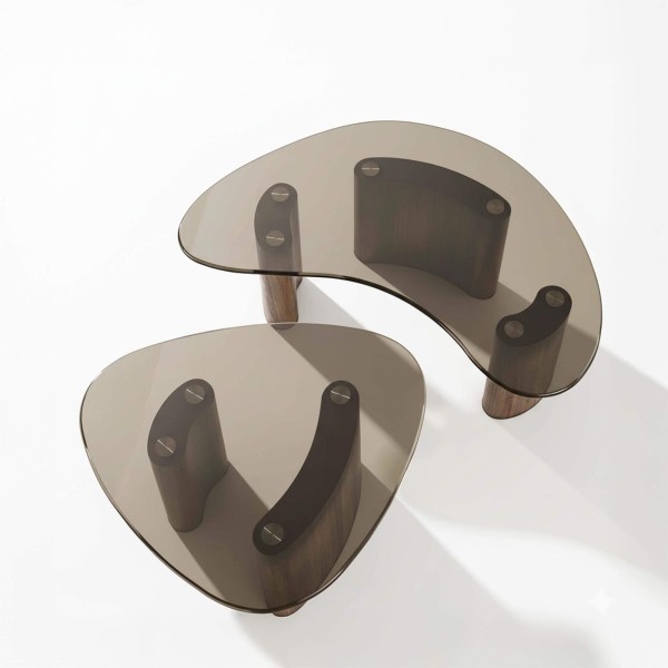 Salontafel in organische vorm met glazen blad (set van 2) – Tinto