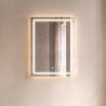 Badkamerspiegel met LED-verlichting 60 x 80 cm