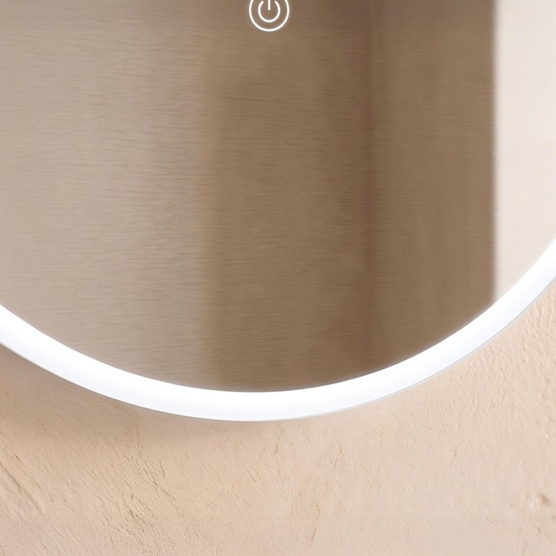 Ovale badkamerspiegel met LED-verlichting 60 x 100 cm